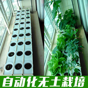 阳台种菜水培设备，种菜神器家庭室内水耕蔬菜，无土栽培懒人自动花盆