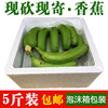 广东高州香蕉水果新鲜banana无催熟剂非米蕉，粉蕉海南芭蕉5斤