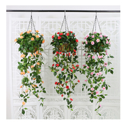 仿真花藤条壁挂假花塑料花吊兰室内植物挂墙装饰墙壁客厅垂吊吊篮