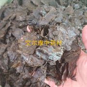 苦丁茶 500g毛冬青茶叶毛东青 苦甘叶 云南大叶苦丁茶