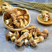 姬松菇500g云南土特产姬松茸巴西蘑菇食用菌煲汤火锅材料干货