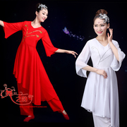 民族舞古典舞中国风演出服装成人红色连衣裙现代舞当代舞飘逸裙