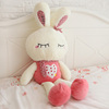 可爱毛绒玩具兔love小兔子公仔大号抱枕玩偶布娃娃生日礼物女