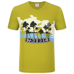 卡帝乐鳄鱼丝光棉短袖，t恤修身v领时尚，休闲海洋沙滩旅游男装体恤衫