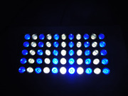 55*3W 120W LED水族灯LED植物生长灯 珊瑚灯 Aquarium light