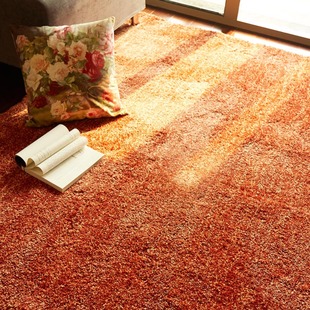 客厅沙发茶几地毯现代简约卧室，床边毯满铺欧式茶几毯日韩纯色