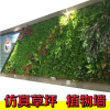 仿真塑料草坪植物墙装饰配材立体绿植景观墙假壁挂背景墙人造草皮