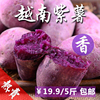 越南珍珠迷你小紫薯 新鲜进口纯天然粉栗香红番薯地瓜粗粮5斤
