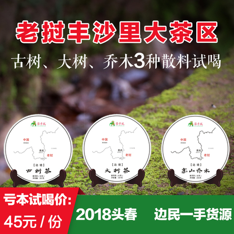 云南乔木普洱茶生茶