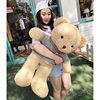 泰迪熊毛绒玩具熊公仔(熊公仔)布娃娃，玩偶抱抱熊可爱熊生日礼物送女生儿童