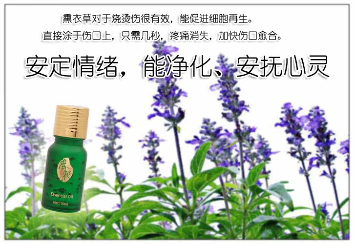 沉鱼落雁 闭月羞花