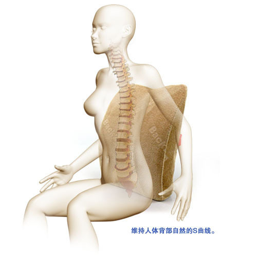 Back2脊态释压记忆棉腰椎保健靠垫(升级款)