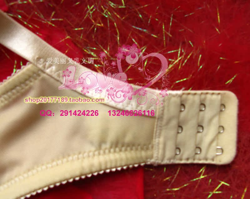 【爱<em>美丽</em>义乳<em>胸罩</em> SILK蛋白丝义乳<em>文胸</em> 假乳胸