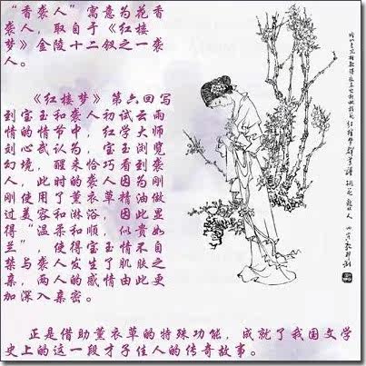 淘宝网祛痘产品排行