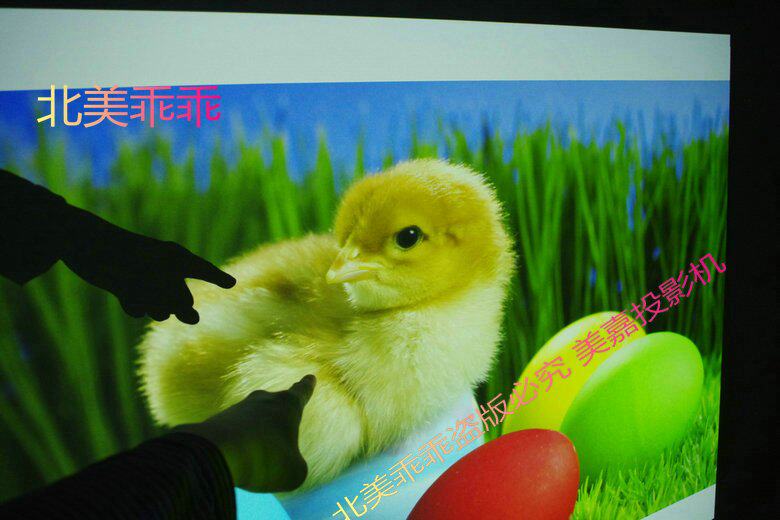 http://img08.taobaocdn.com/imgextra/i8/65347355/T2OYpcXa0aXXXXXXXX_!!65347355.jpg